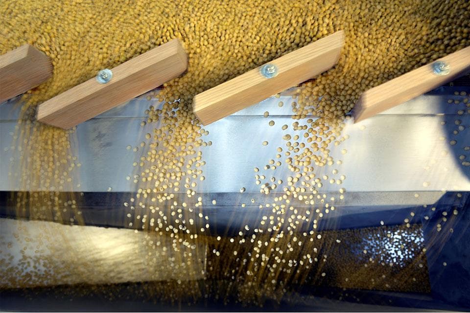 Pag-angkat ng soybean meal ng Pilipinas inaasahang tataas ng 10% ayon sa USDA