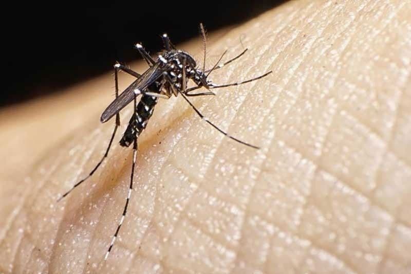Pangulong Marcos, nag-utos ng mabilisang aksyon laban sa dengue at leptospirosis