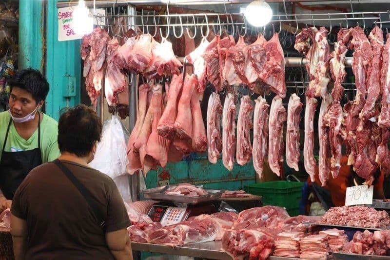 Pagpigil sa Pagkalat ng ASF sa Benguet sa Pamamagitan ng Pagkatay sa 380 Baboy