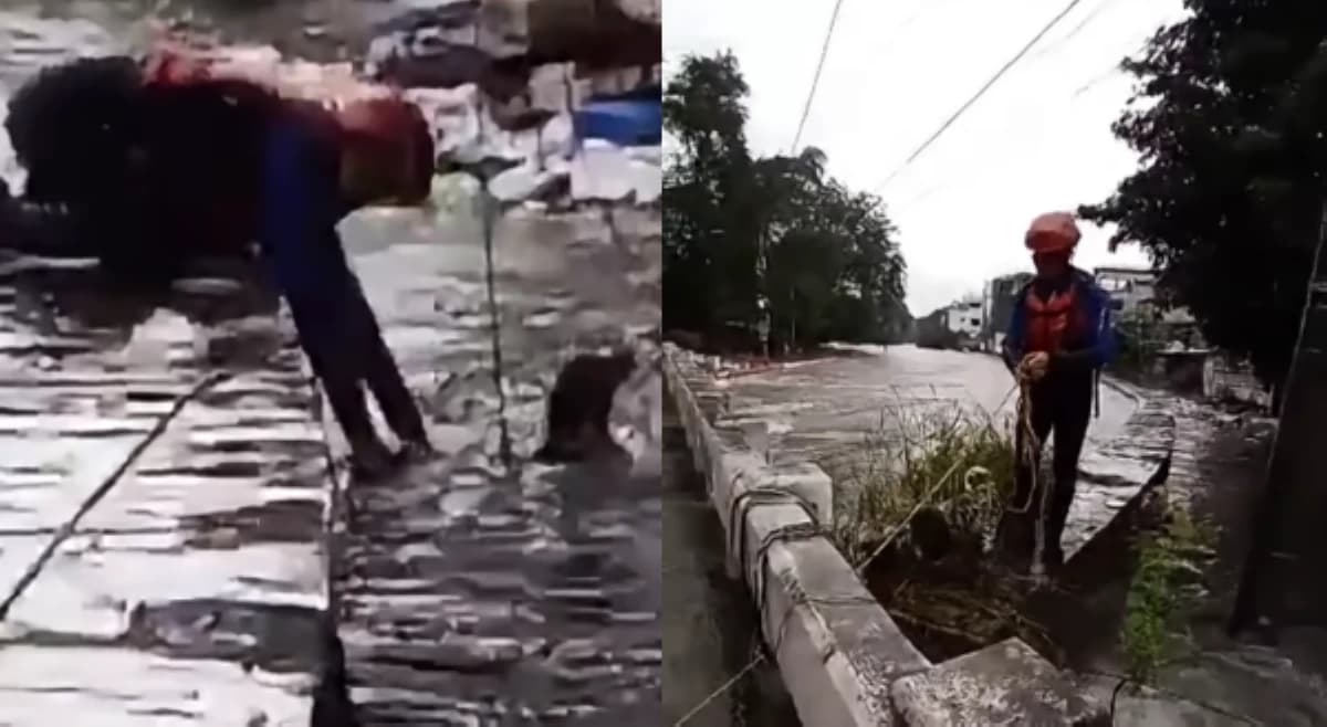 Asong na naligaw sa rumaragasang ilog, matagumpay na nasagip