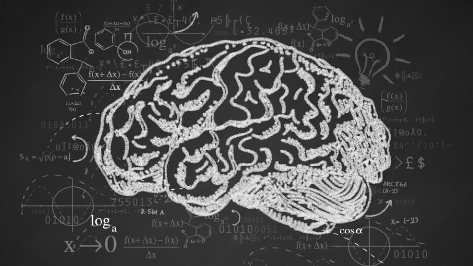 Mahalagang Mapa ng Aktibidad ng Gene sa Prefrontal Cortex ng Utak, Natuklasan ng mga Siyentipiko