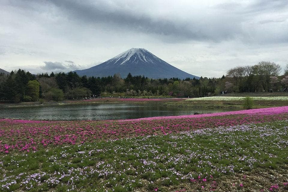 Ama sa Japan, iniwan ang pitong taong gulang na anak sa bundok ng Fuji