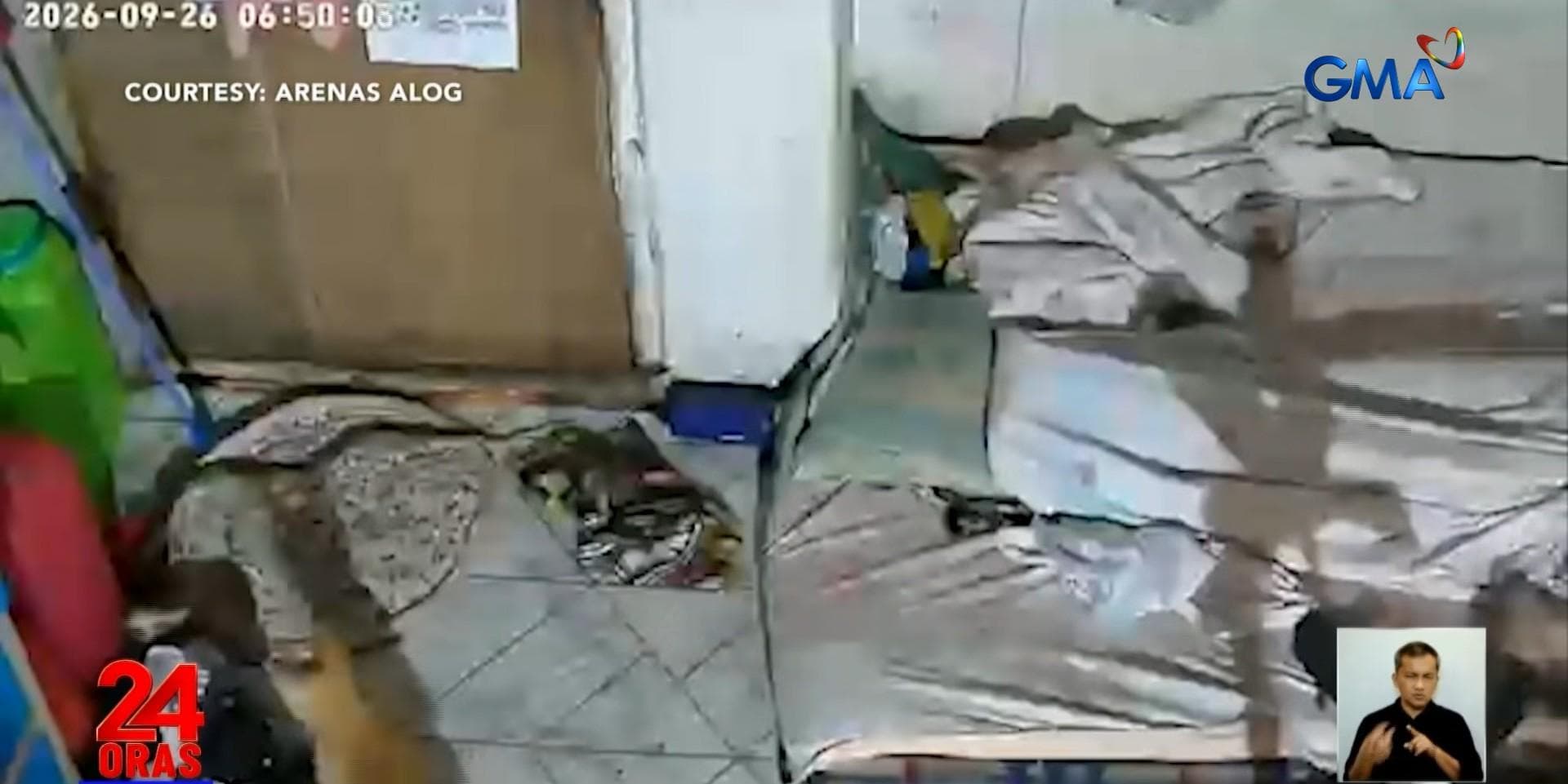Pusa, nagligtas sa pamilya mula sa ahas na pumasok sa kanilang tahanan sa Taytay, Rizal