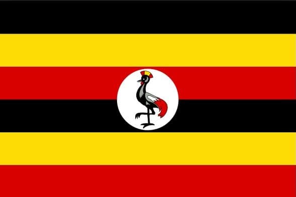 Mamamayani ng isang Mamamahayag bilang Hari sa Kaharian ng Uganda Matapos ang Alitan sa Pagmamana