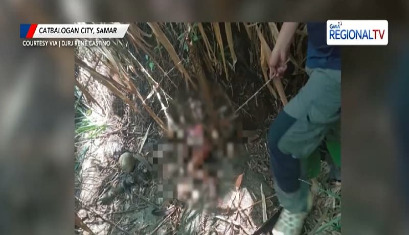 Bangkay ng Nawawalang Batang Babae, Natagpuan sa Isang Liblib na Lugar sa Catbalogan, Samar