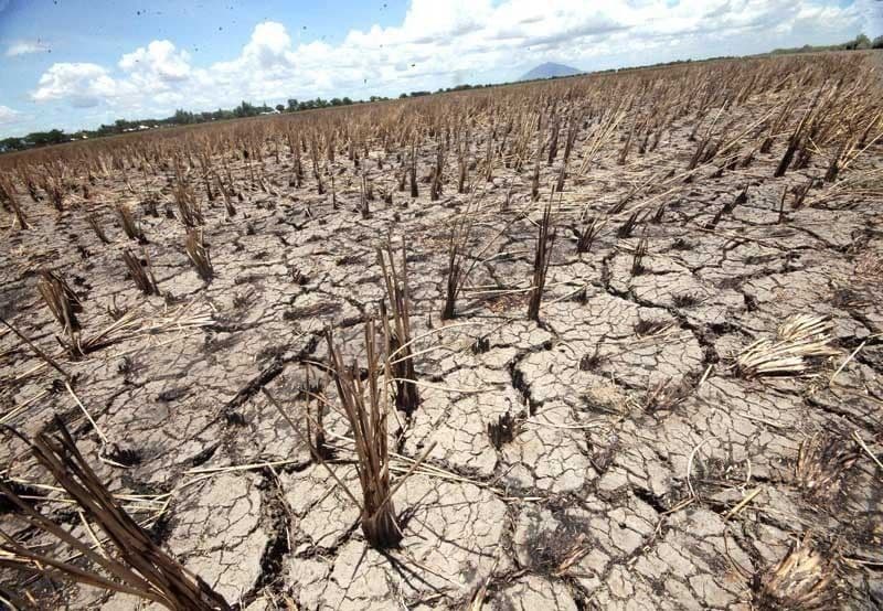 Babala ng PAGASA: El Niño, maaaring lumakas pa sa mga susunod na buwan
