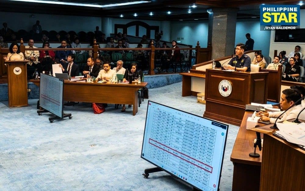 Sara Duterte, may 22 baril na labag sa batas para sa mga sibilyan